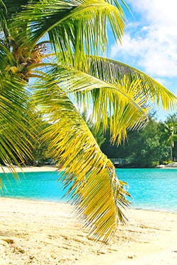 Book a French Polynesia Beach Stay and Save!