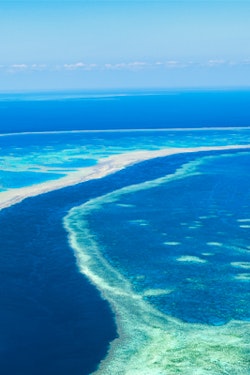Queensland Reefs, Beaches & Dolphins with Airfare