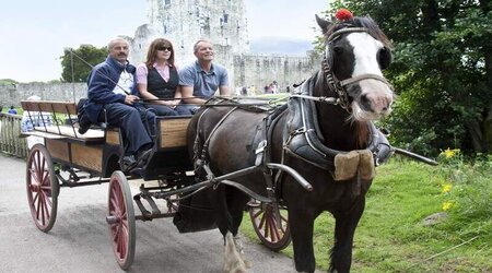 Royal Irish Tours
