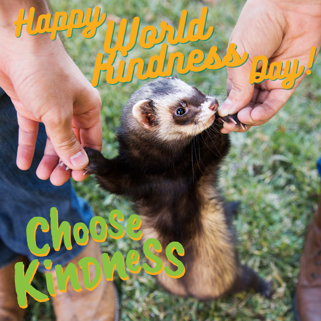 Blog World Kindness Day 21