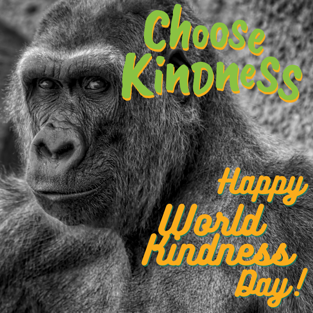 Blog World Kindness Day 21